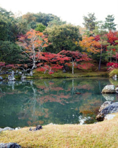 嵯峨嵐山 天龍寺、紅葉、日本庭園、11月秋、京都府京都市の観光・撮影スポットの名所